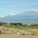 Was ist der höchste Berg Afrikas?