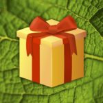 Geschenk für Naturliebhaber – 5 schöne Ideen