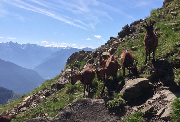 Schöne Gedichte über Berge – nicht nur für Bergsteiger