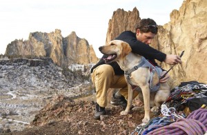 Hund mit Abseilgeschirr von Ruffwear