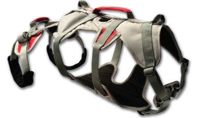 Hunde Abseilgeschirr Ruffwear DoubleBack Hunde Abseilgeschirr Ruffwear DoubleBack