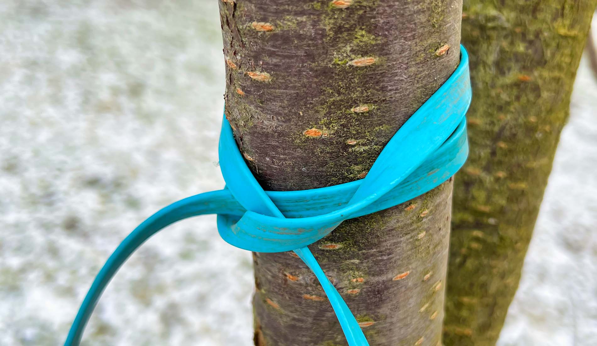 Der Mastwurf-Knoten ist sehr praktisch und schnell gelegt – auch wenn man die Hundeleine mal schnell an einem Baum befestigen muss (Foto: Sir Apfelot).
