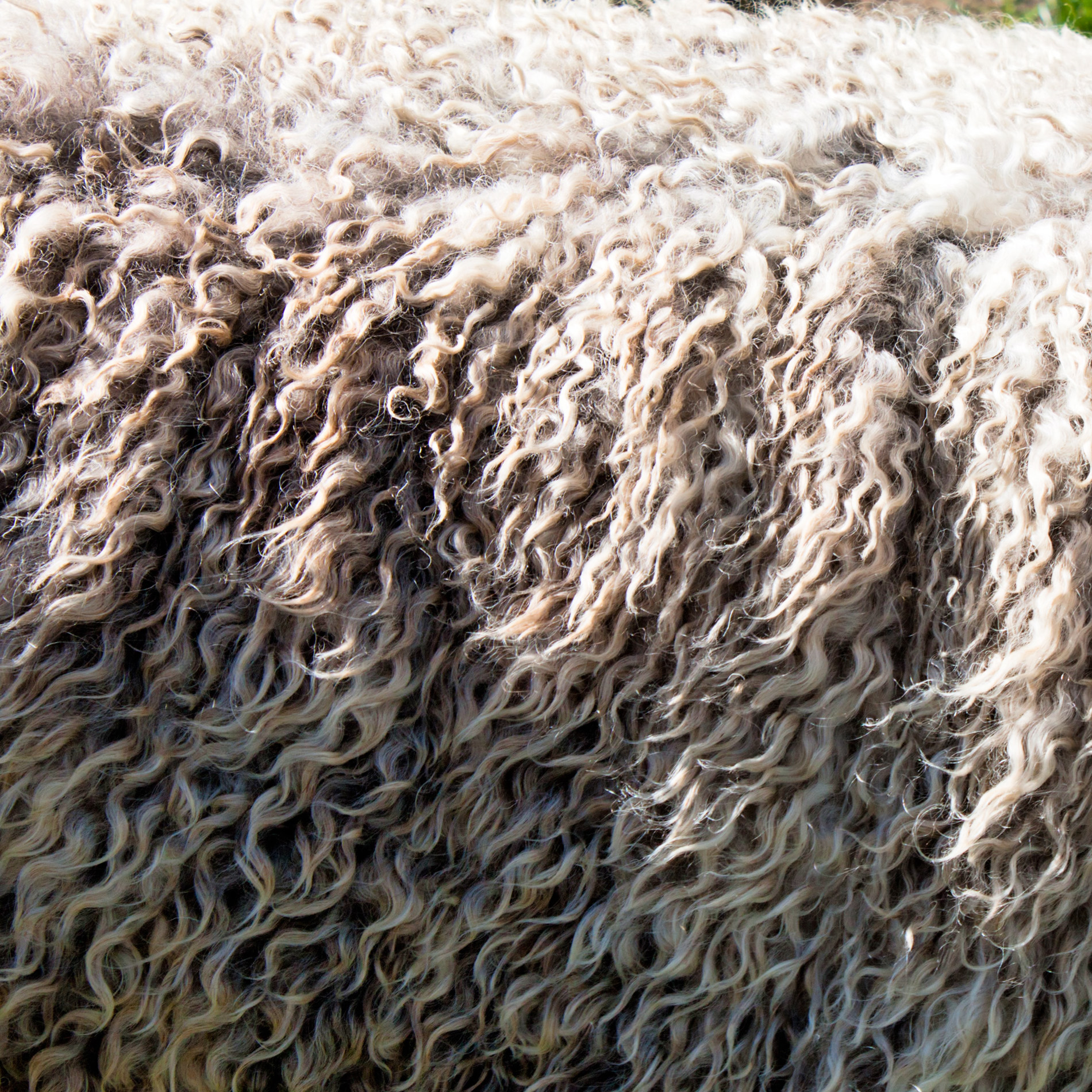 Merino-Unterwäsche für Herren