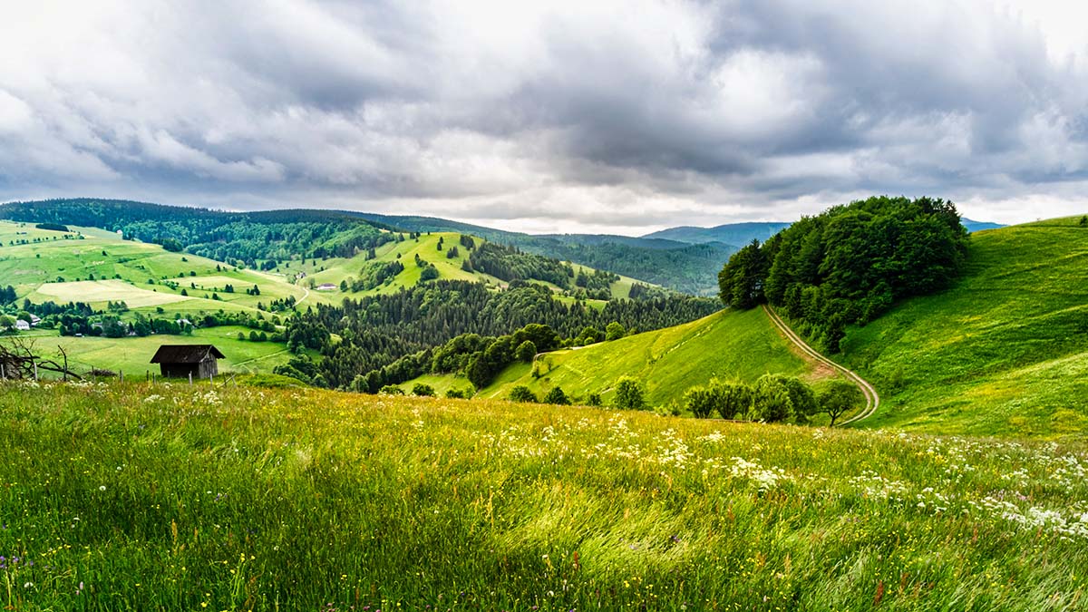Man muss nicht unbedingt ins Ausland fahren, um tolle Urlaubsziele in der Natur zu haben. Hier ein Foto bei Todtnau im Südschwarzwald (Foto: Israel Ferrera/Unsplash).